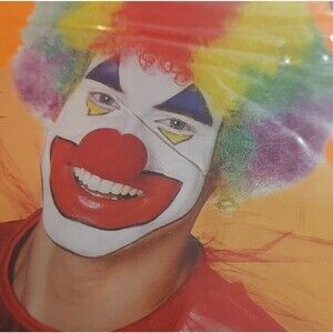 Halloween Multicolored Unisex Clown Wig
